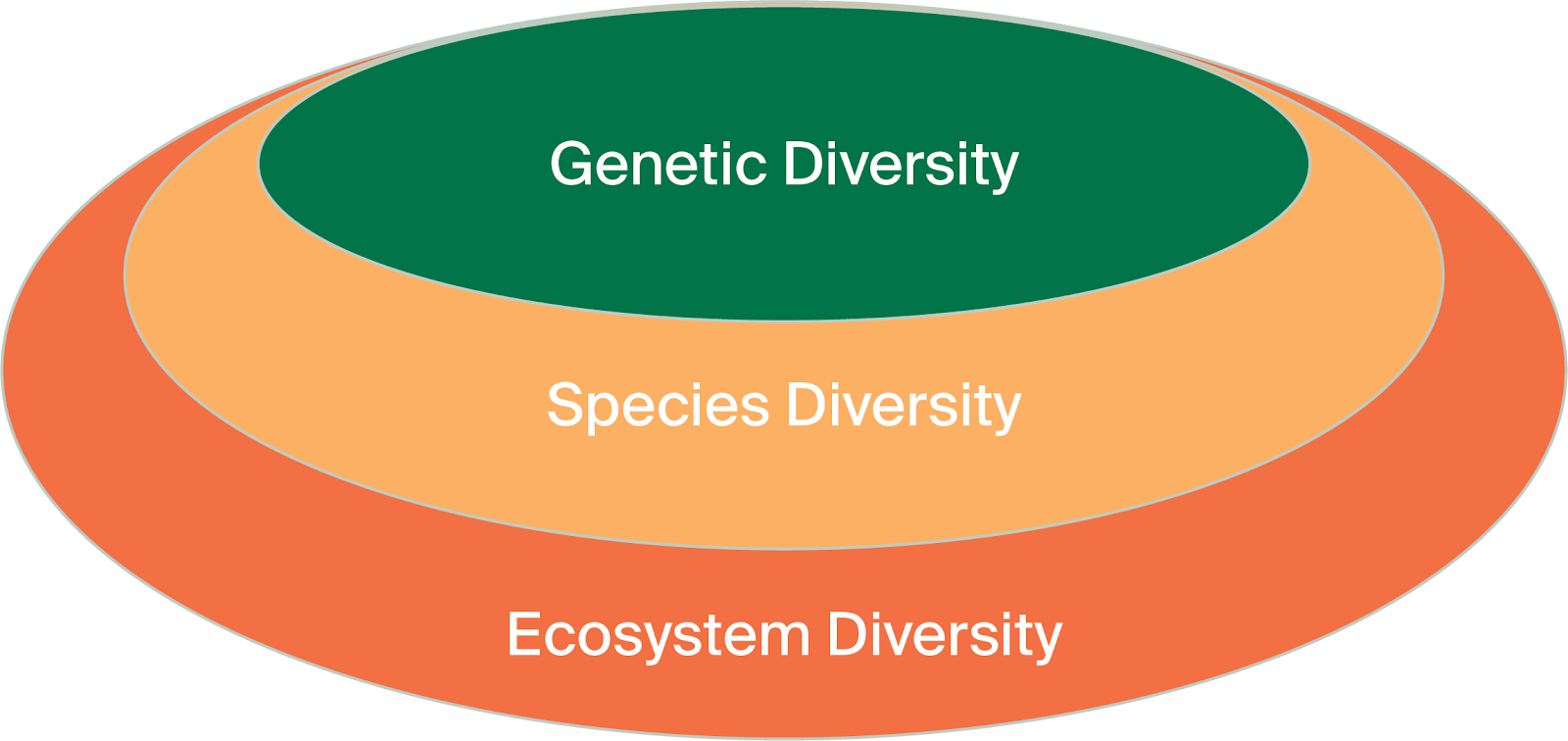 peeling-back-the-mystery-of-biodiversity